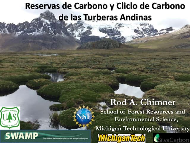 Reservas de carbono y ciclo de carbono de las turberas andinas