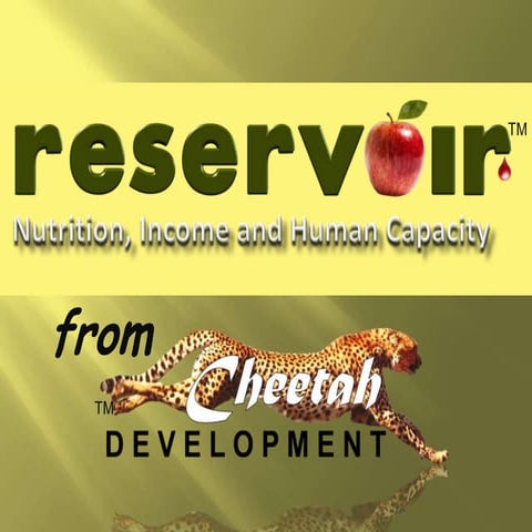 Reservoir Food Drying (March 2014)