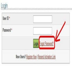 E Filing Reset Password Pdf