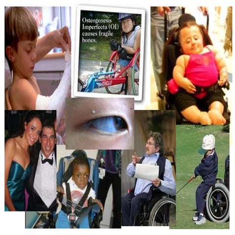 Reshape online | PPTX