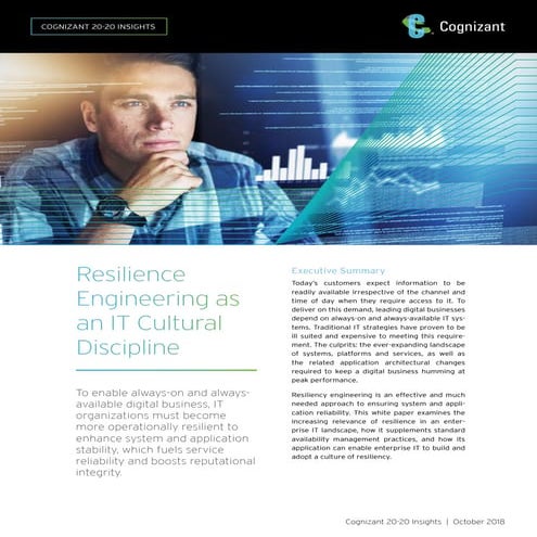 Resilience Engineering as an IT Cultural Discipline