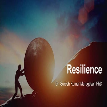Resilience 1.0