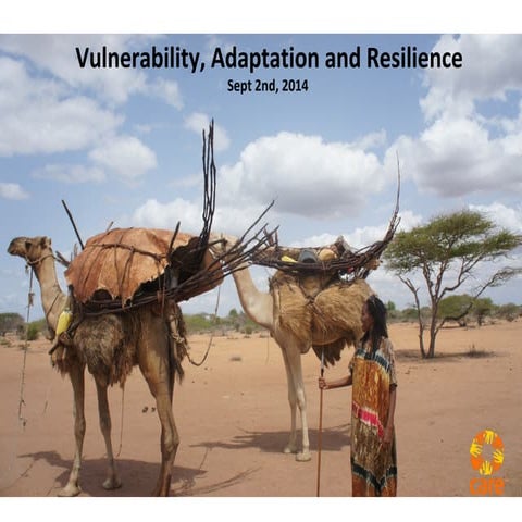 Vulnerability, Adaptation and Resilience