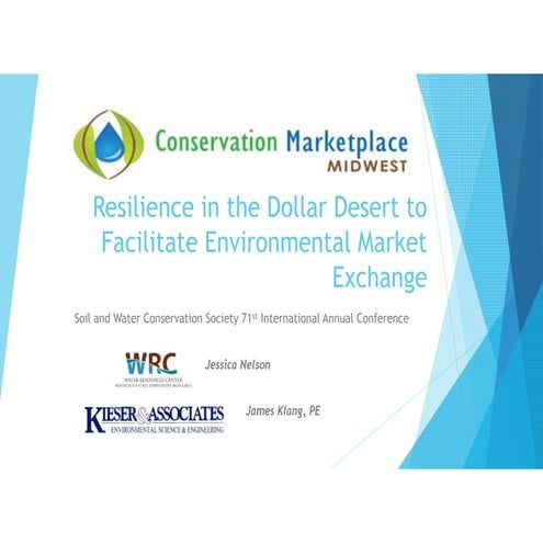 Resilience in the dollar desert   nelson