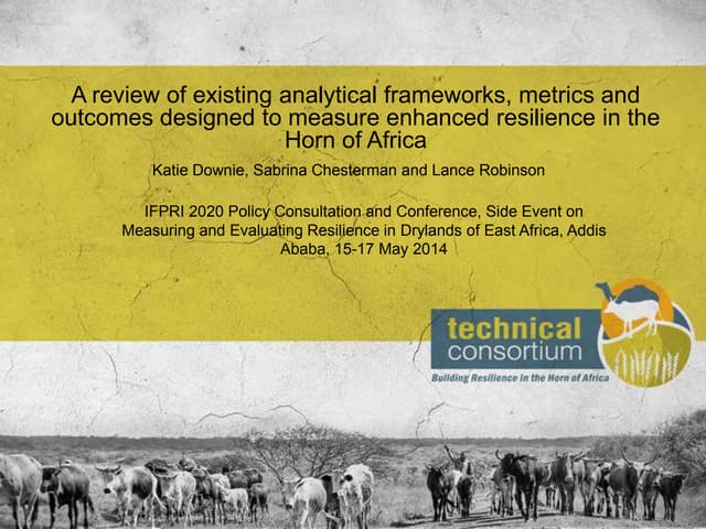 A review of existing analytical frameworks, metrics and outcomes designed to measure enhanced resilience in the Horn of Africa