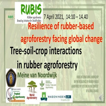 Resilience of rubber based agroforestry facing global change