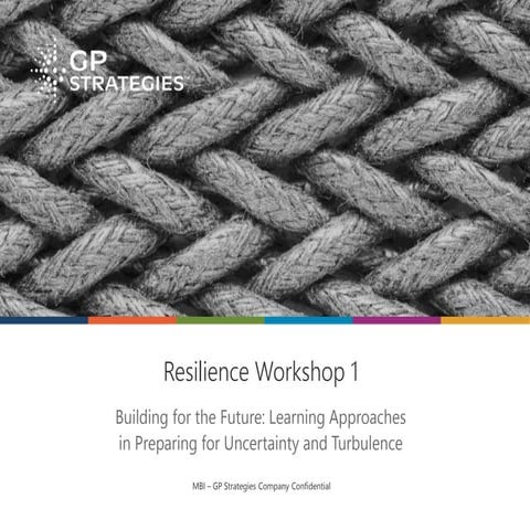 Resilience Workshop 1 