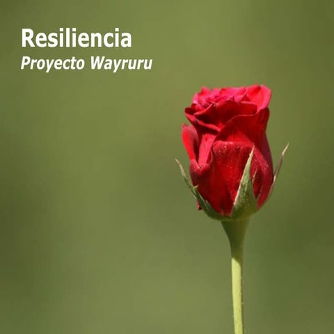 Resiliencia