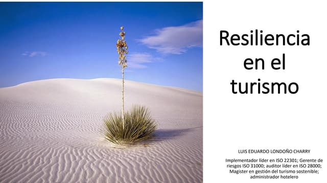 Resiliencia en el turismo
