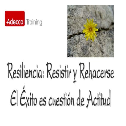 Resiliencia Empresarial