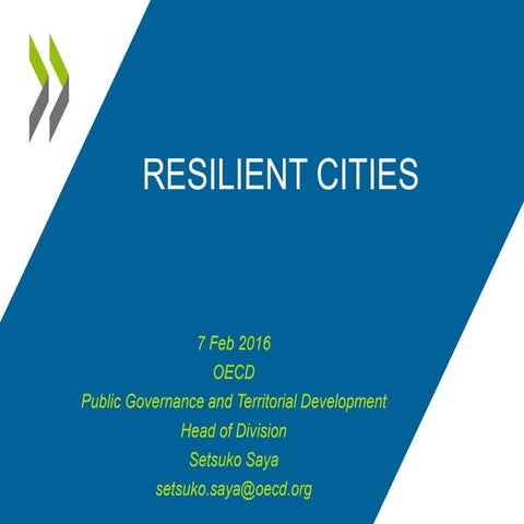 Resilient cities project