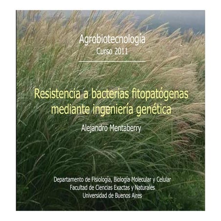 Resistencia a bacterias fitopatogenas