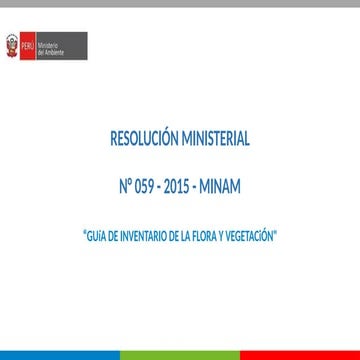 RESOLUCIÓN MINISTERIAL N° 059 - 2015 - MINAM-PPT.pptx