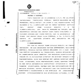 Resolucion barroetaveña-adn-4-6-03