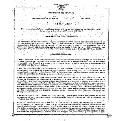 Resolucion_0312_de_2019_Estandares_Minimos (1).pdf