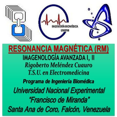 Resonancia Magnética (RM)