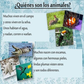 Respetamos y cuidamos a los animales