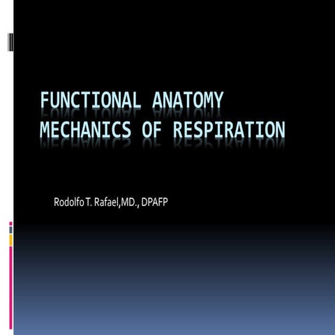 Respi functional anatomy