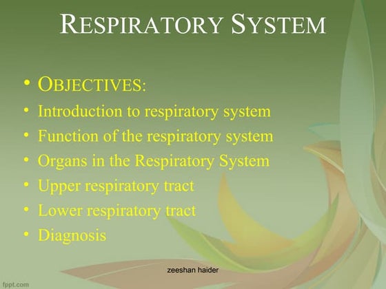 The respiratory system | PPT