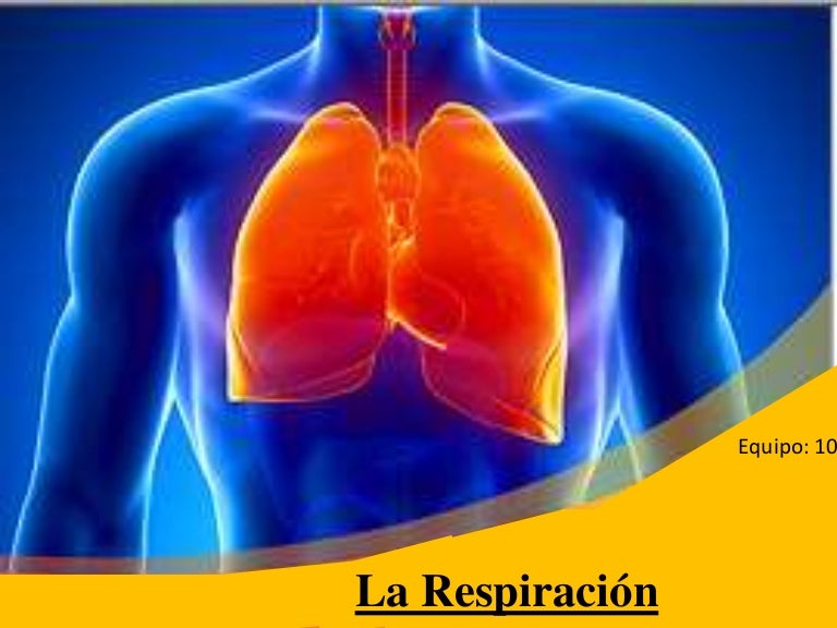 Respiración humana