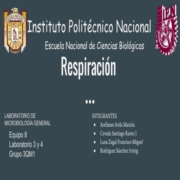 respiración de microorganismos 
