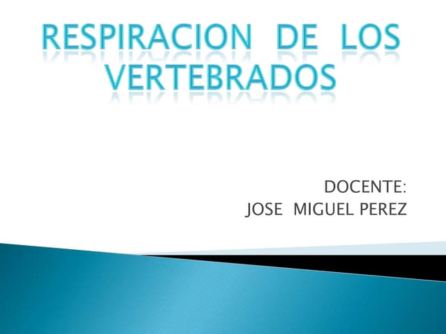 RESPIRACIÓN DE LOS VERTEBRADOS