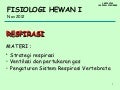 Ekskresi hewan akuatik terestrial Ekskresi hewan akuatik terestrial