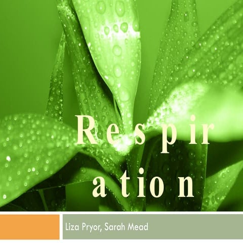 Respiration