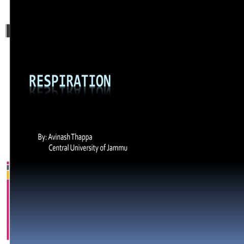 Respiration in Organisms