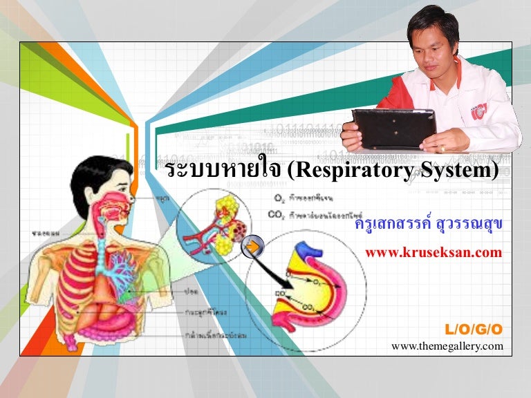 ระบบหายใจ (Respiratory System)