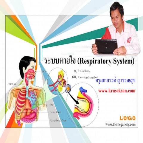 ระบบหายใจ (Respiratory System)