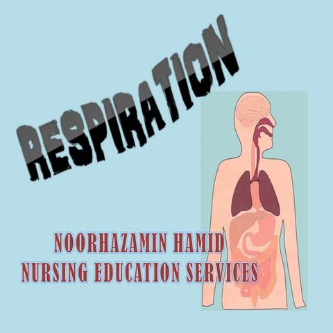 Respiration