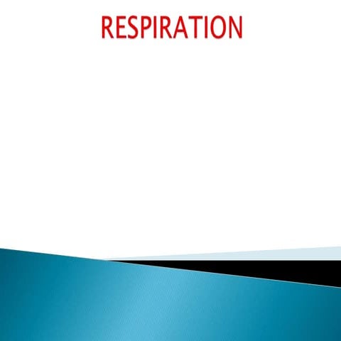 Respiration