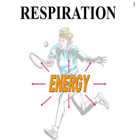 respiration.ppt
