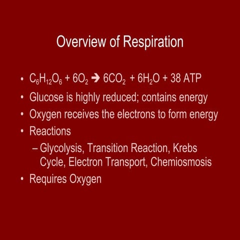 Respiration