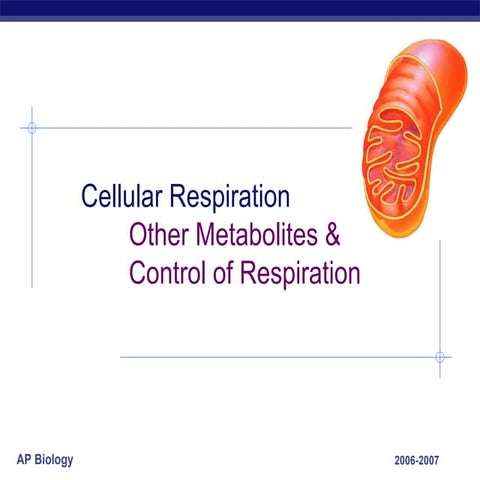 Respiration5beyondglucose
