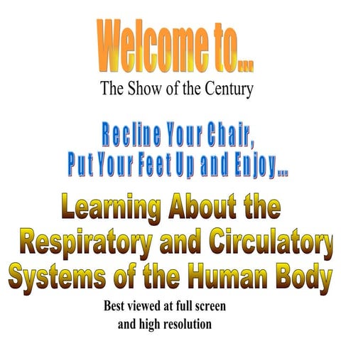 Respiration and circulation in human body