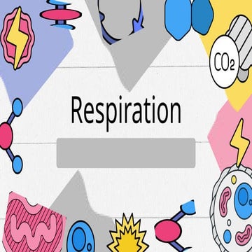 Respiration Biology Presentation Science Grade 8 | PPTX