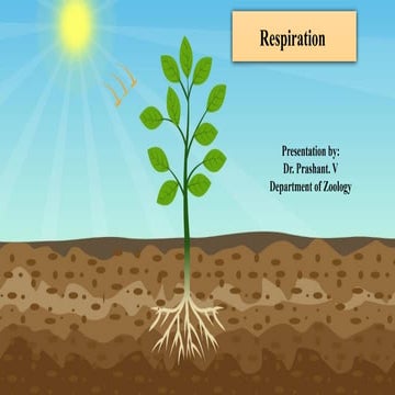 Respiration complete for all classes.pptx