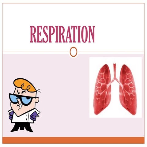 Respirationfinal