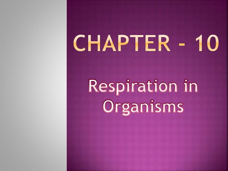 Respiration In Organisms