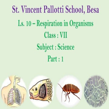 Biology Class 10 Notes Of Respiration Pdf