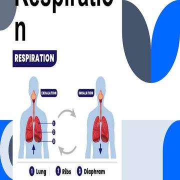 respiration , introduction , definition, breathing, factors affecting respira...