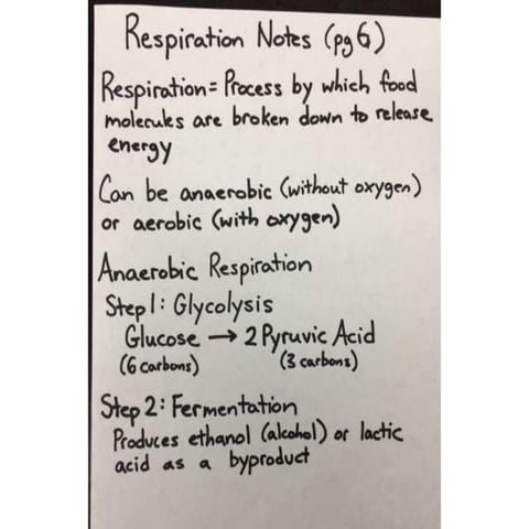 Respiration notes hand written