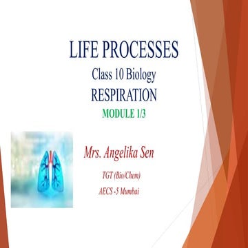 Mr Exham IGCSE - Respiration | PPTX