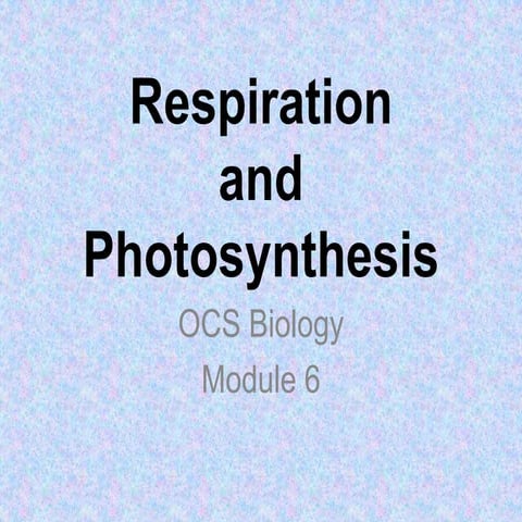 Respiration and Photosynthesis