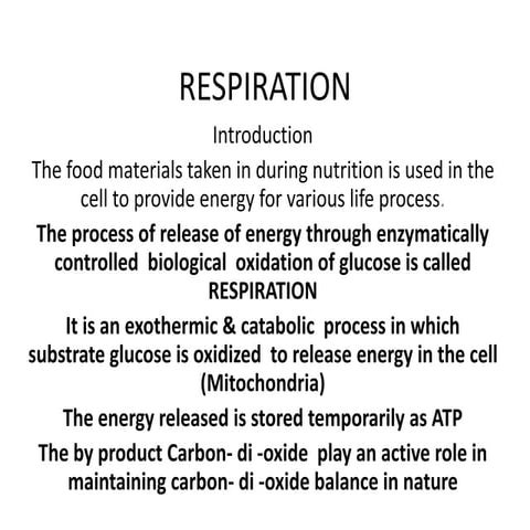 Respiration For Class 10 Pptx