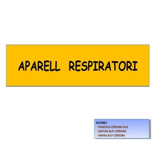Respiratorio