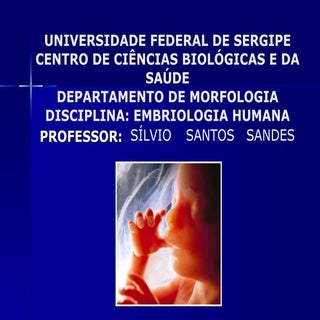 Embriologia do Sistema Respiratorio