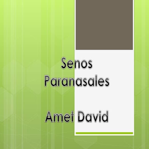 HISTOLOGÍA DE LOS SENOS PARANASALES 